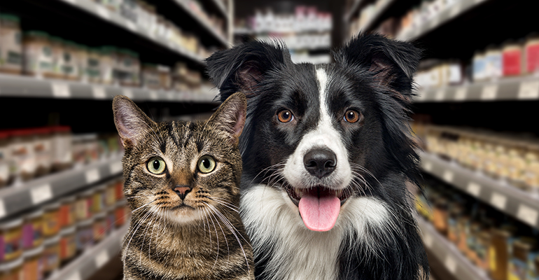 Global pet food outlet brands